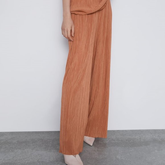 Zara Pants - Zara Pleated Pants Trousers Size Large NWT Rusette